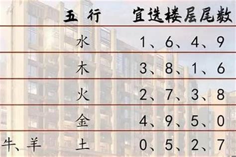 屬鼠房子坐向|属鼠最佳住房楼层和风水方位